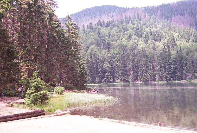 Rachelsee in Blickrichtung Waldschmidthaus